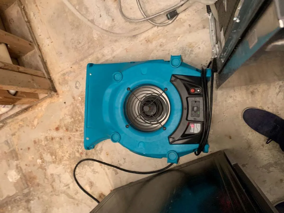 Air mover drying equipment for Mold Remediation & Removal in La Porte