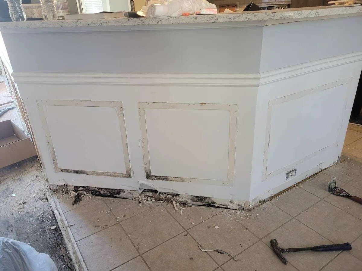 Water damage and mold on kitchen during Sewage Cleanup & Sanitation in La Porte